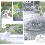 tuinontwerp te Elburg door LINDESIGN.AMSTERDAM