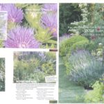 tuinontwerp te Elburg door LINDESIGN.AMSTERDAM