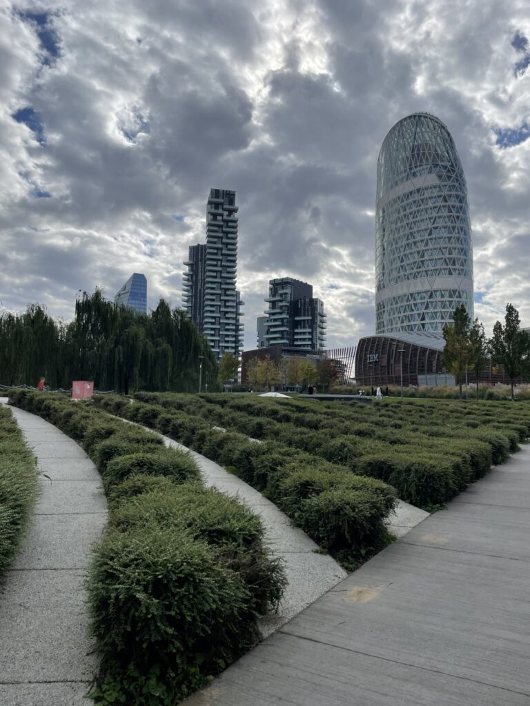 Biblioteca degli Alberi
